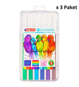 Bigpoint Fırça Uçlu Keçeli Kalem 12'li Set (Plastik Kutulu) x 3 Paket