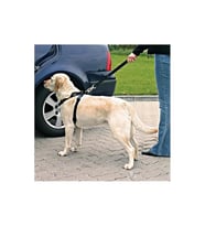 Araba Köpek Kedi Tasması Emniyet Kemeri Oto Evcil Hayvan Boyun Araç Tasması Kemeri