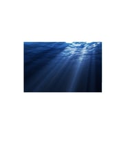 Kanki Pet KP7045007 Akvaryum Arka Fon Yapıştırma 70 x 45 CM