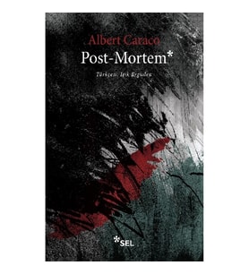 Post-Mortem