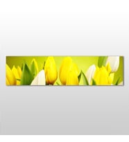 Sarı Laleler  Kanvas Tablo 180x60cm (Karışık)