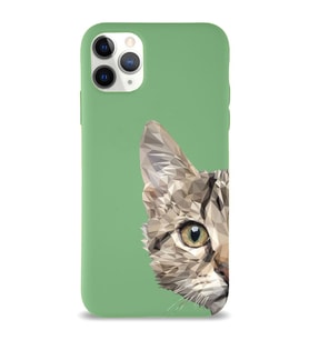 Apple iPhone 11 Pro Max Uyumlu Lansman Kılıf Catface Tasarımlı İçi Kadife Kapak-Yeşil (Şeffaf)