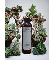 Pro Mac  Navİ  Koku Makİnasi-Dİffuser  Esans Yaği 250 Ml. Her Makİnaya Uygun