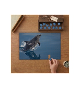Sevimli Yunus Balığı Tasarımı 240 parça Ahşap Puzzle Ahşap Kutuda MP05182