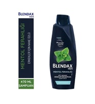 Blendax Mentol Ferahlığı Erkekler Için Nane Özlü Şampuan 470 ml
