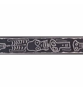 PLANETWAVES 50PLJS01