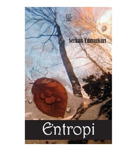 Entropi