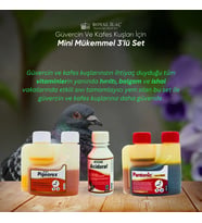 Royal İlaç  Kafes Kuşları ve Tüm Kanatlılar İçin Mükemmel Üçlü Set (Acidoral+Pigeorex+Pantonic)
