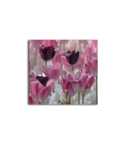 Pembe Beyaz Mor Lale Desenli Tablo 60 X 80 Cm