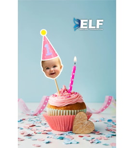 Doğum Günü Kürdan Süsü Cupcake Süs ( 10 Adet )