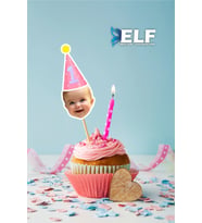 Doğum Günü Kürdan Süsü Cupcake Süs ( 10 Adet )