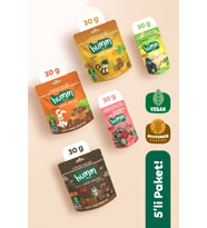 Humm Organic Organik Glutensiz Vegan Kek & Mini Küp Atıştımalık Paketi - 5 adet (5 çeşit)