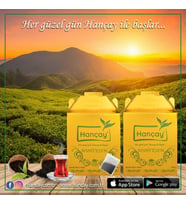 HANÇAY Muhteşem Demlik Poşet Çay 1.6kg (16gr X 100AD)