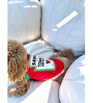 Salya Store Mustard Yazlık Köpek Atlet Kedi,köpek Kıyafeti Küçük Irklar Kk-112 (Kırmızı)