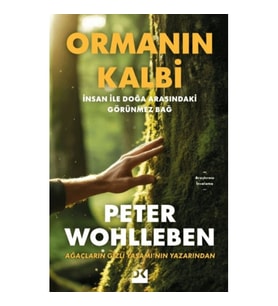Ormanın Kalbi