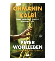 Ormanın Kalbi