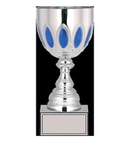 ODAK KUPA - X Large Kupalar - XL-019 C - 27 cm