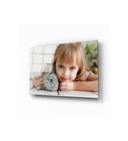 Miyrem Glasses Collection -A1^#  Tavşan Cam Tablo (Çok Renkli)