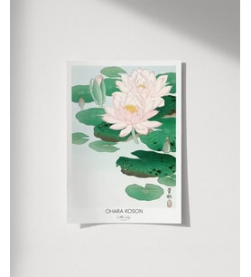 Çerçevesiz Poster Ohara Koson Nilüfer