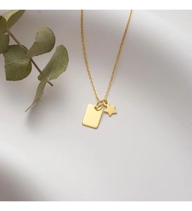 Kişiye Özel 925 Ayar Gümüş Mini Plaka Yıldız Charmlı Harf Kolye (Gold)