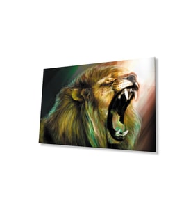 Aslan Cam Tablo 4mm Dayanıklı Temperli Cam (Çok Renkli)
