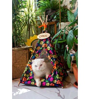 İsme Özel, Yıkanabilir Kedi, Köpek Çadırı, Kolay Kurulum