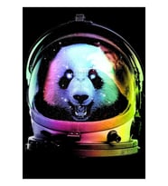 Astronot Panda Tablo Ahşap Poster Dekoratif