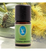 Organik Ökaliptus Citriodora Yağı, 10ml, Aromaterapi ve Masaj