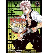 Demon Slayer: Kimetsu No Yaiba, Vol. 17: Volume 17 (Krem)