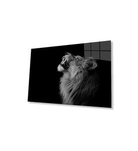 Aslan Cam Tablo 4mm Dayanıklı Temperli Cam (Çok Renkli)