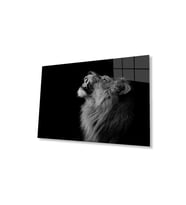 Aslan Cam Tablo 4mm Dayanıklı Temperli Cam (Çok Renkli)