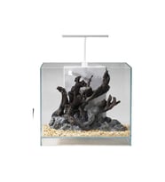 Jeneca ZJ-20 Akvaryum+Dekor 20x20x25 Cm (10L)