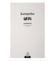 Kategoriler