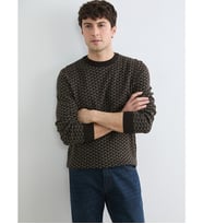 LCWAIKIKI Classic Kahverengi Erkek Desenli Regular Fit Triko Kazak