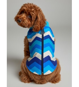Surf Rain Küçük Köpek Yağmurluk Ceket (Çok Renkli)