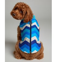 Surf Rain Küçük Köpek Yağmurluk Ceket (Çok Renkli)