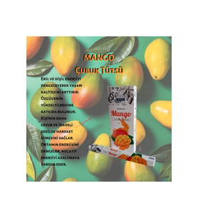 Mango Çubuk Tütsü 20 Adet