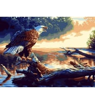 Balıkçıl Kartal Sayılarla Boyama Seti 40x50 cm (Tuvale Gerili)