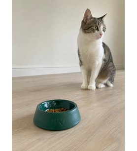 Pati Desen Model Beton Kedi Köpek Mama ve Su Kabı 13 cm çap x 4 cm - Yeşil