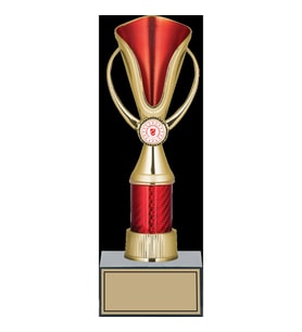 ODAK KUPA - Genel Kupalar - GN-182 B - 29 cm