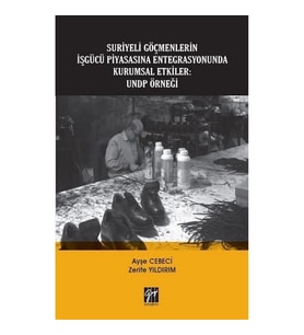 Suriyeli Göçmenlerin İşgücü Piyasasına Entegrasyonunda Kurumsal Etkiler - UNDP Örneği