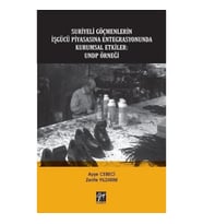 Suriyeli Göçmenlerin İşgücü Piyasasına Entegrasyonunda Kurumsal Etkiler - UNDP Örneği