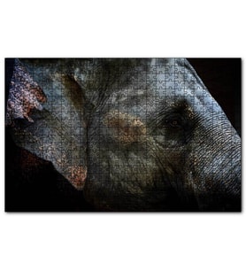 Cakapuzzle Karanlık Arkaplan Fil Yakın Çekim  Puzzle Yapboz MDF (Ahşap) (120 Parça)