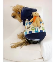 Teddy Roo Kapşonlu Köpek Sweatshirt Köpek Elbisesi Köpek Kıyafeti (Lacivert)