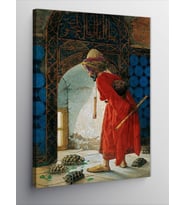 Kanvas Tablo Kaplumbağa Terbiyecisi