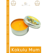 #Mum Dekoratif Hediyelik Şık Modern Tasarım Metal Kutu Kokulu Mum Oda Kokusu 120G Teneke Kutu
