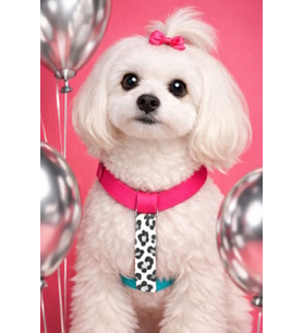 Sugar Mood Çekiştirme Önleyici Ayarlanabilir H Tipi Köpek Göğüs Tasması