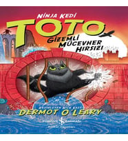 Ninja Kedi Toto – Gizemli Mücevher Hırsızı
