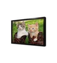 Kedi Yavrusu Çerçeveli Mdf Tablo