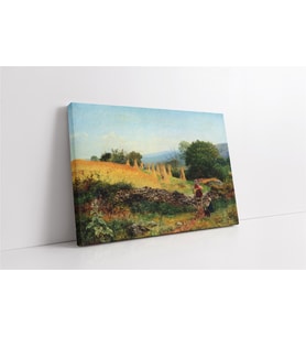 A Welsh Cornfield